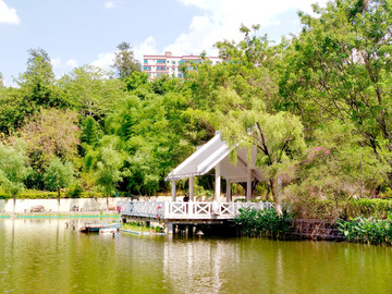 攀枝花竹园湖风景