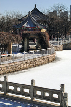 冬日雪景