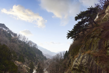 泰山风光