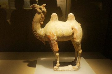 陕西西安文物彩绘陶骆驼