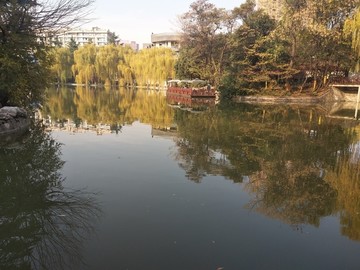 湖边风景