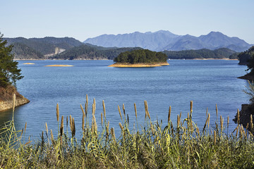 千岛湖里的小岛