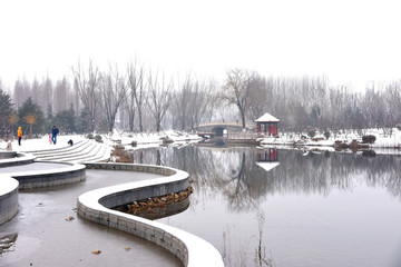 凤凰苑植物园雪景