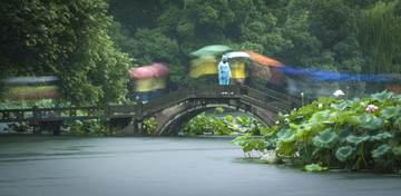 雨中赏塘