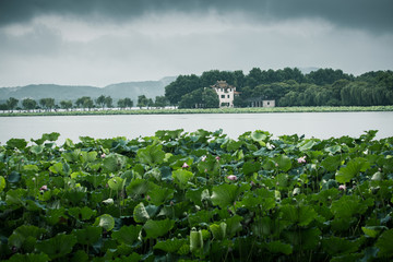 烟雨西湖