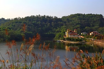 迎龙湖国家湿地公园