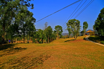 山坡草坪树林