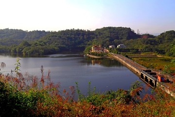 迎龙湖国家湿地公园俯瞰