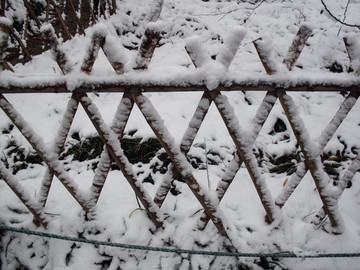 雪花下的篱笆