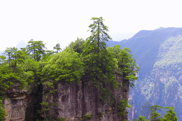 天子山神堂湾