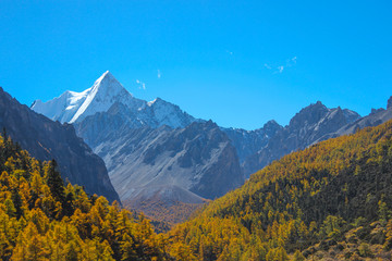 雅拉雪山