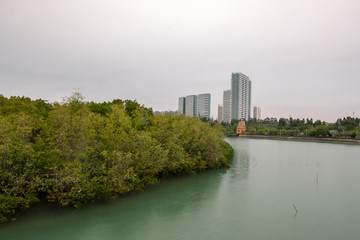 厦门五缘湾湾区风光