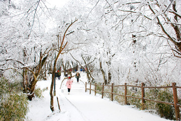 峨眉山冬雪