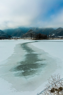 大九湖风光