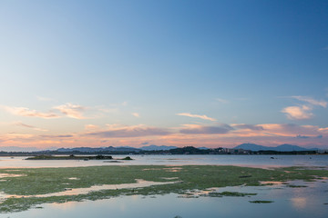 红海湾