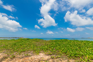 红海湾