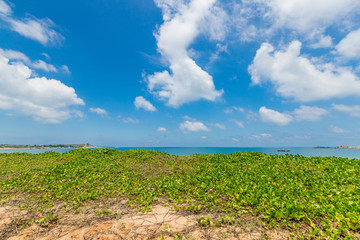 红海湾