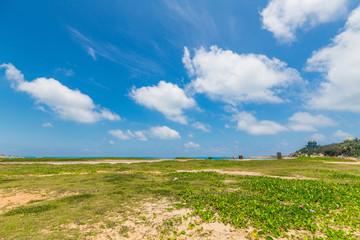 红海湾