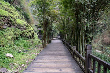 三峡人家风景