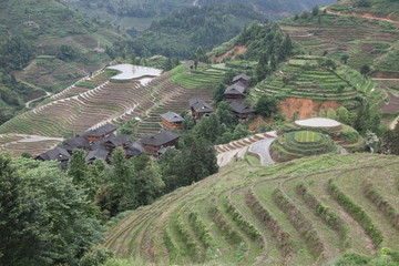 龙脊梯田