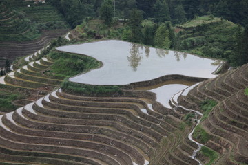 龙脊梯田