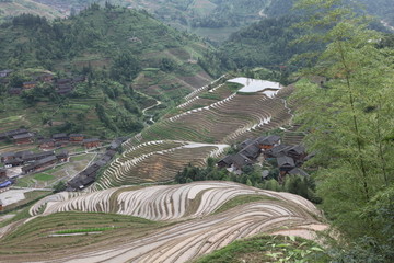 龙脊梯田