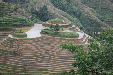 龙脊梯田