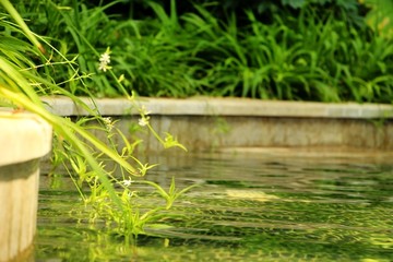 温泉