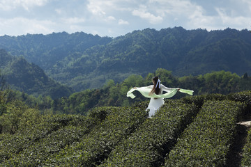 茶园与美女