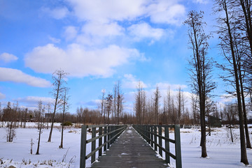 雪中之路