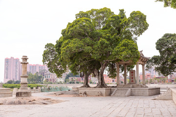 泉州洛阳桥