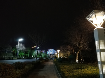 青岛东海西路夜景