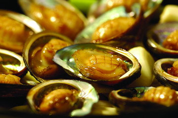 砂鍋小鮑魚(yú)
