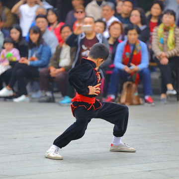 武术表演