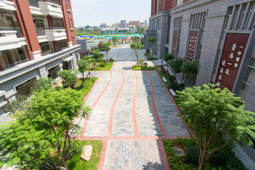学校绿化景观
