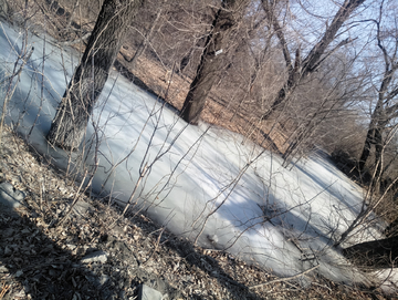 冬季冰封小溪