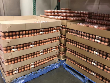 鸡蛋货架