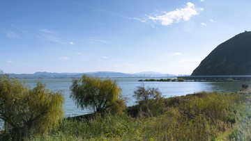 滇池湿地风景