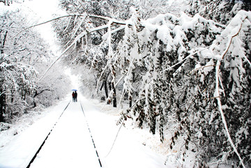 雪恋