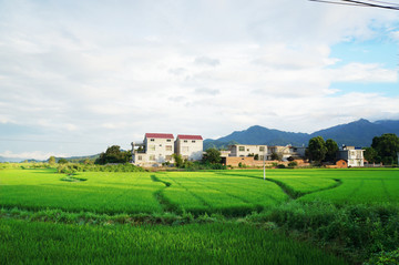 乡村田园绿色田园江西乡村