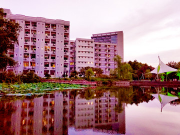 校园湖畔风景