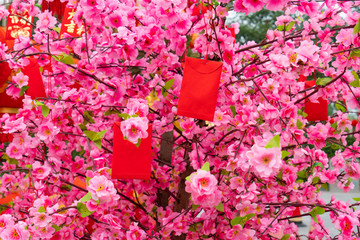 春节桃花红包