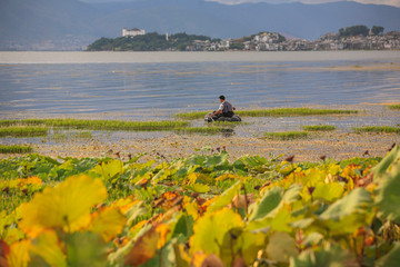 大理洱海风光