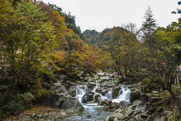 陕西光雾山