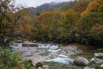 陕西光雾山