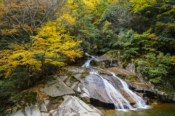 陕西光雾山