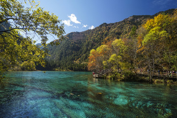 陕西光雾山