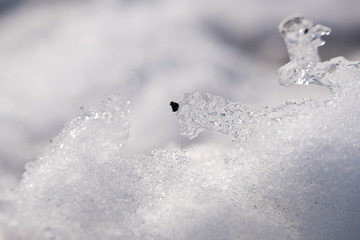 雪地