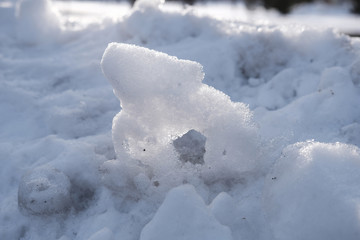 雪地