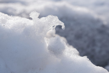 雪地